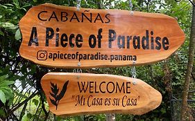 A Piece Of Paradise