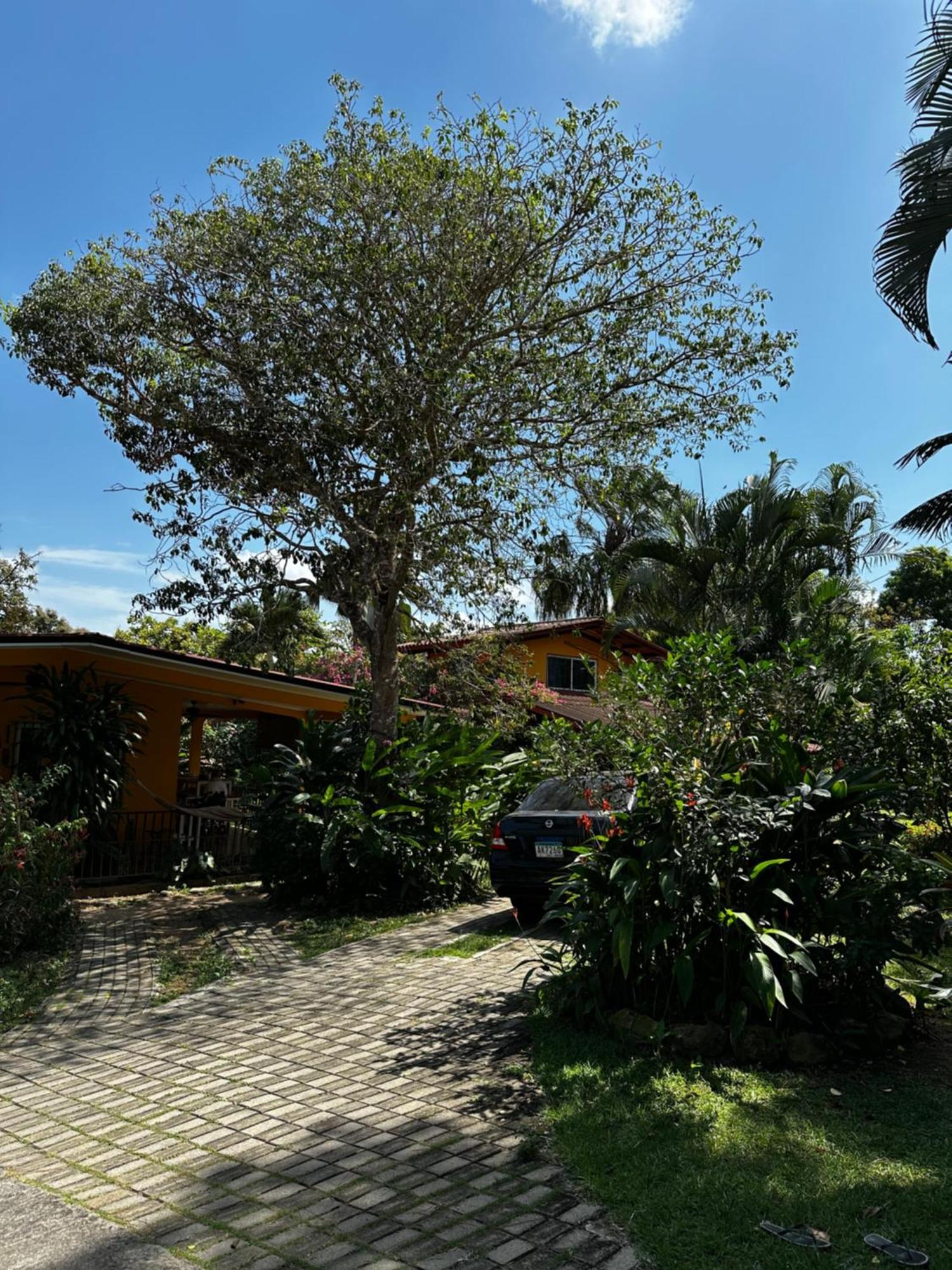 A Piece Of Paradise San Carlos Buitenkant foto